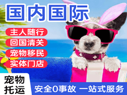 阿拉尔塔里木机场空运国际宠物托运 【国